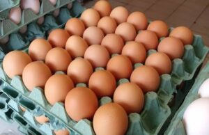 Médicos revelam que comer ovos de manhã causa...Ver mais