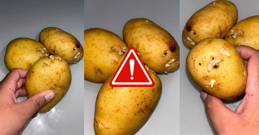 Comer Batatas Com Esses Brotos Causa C...Ver Mais